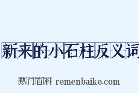 新来的小石柱反义词是什么意思的图片